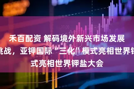 禾百配资 解码境外新兴市场发展潜力与挑战，亚钾国际“三化”模式亮相世界钾盐大会